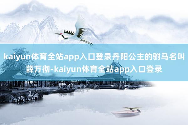 kaiyun体育全站app入口登录丹阳公主的驸马名叫薛万彻-kaiyun体育全站app入口登录